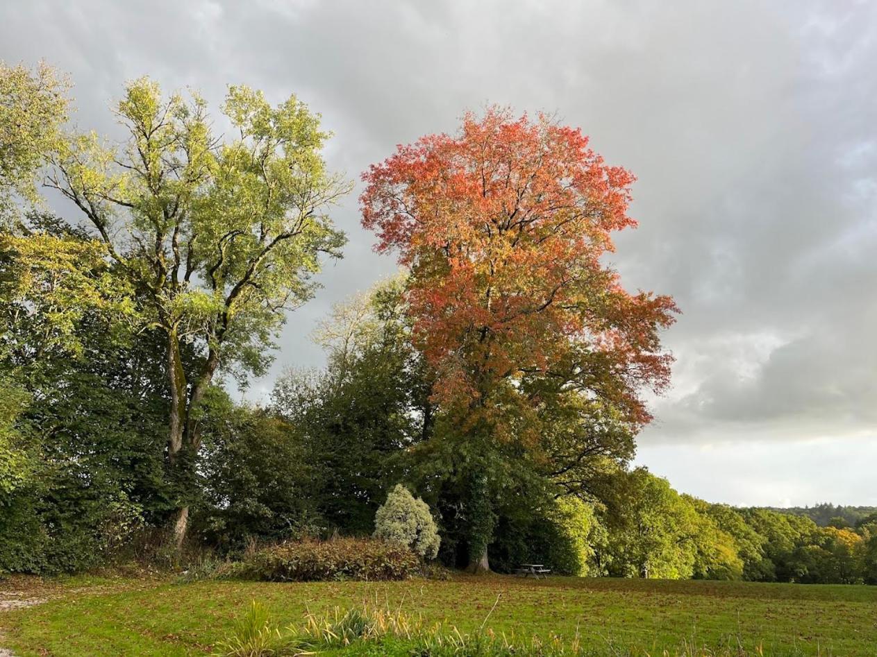 Chateau Ville Voisin Augan Esterno foto